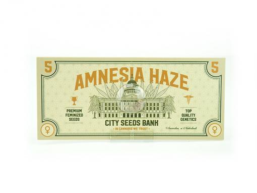 Amnesia Haze Feminised