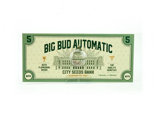 Big Bud Auto