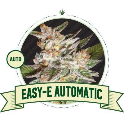 Easy E Automatic