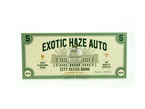 Exotic Haze Automatic Cannabis Seeds