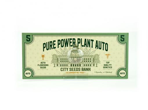 Pure Power Plant Cannabis Seeds