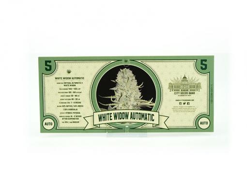White Widow Automatic - Image 3