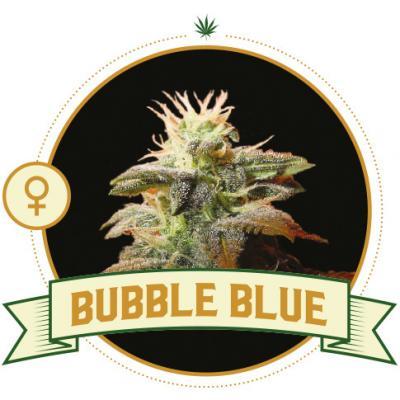 Bubble Blue