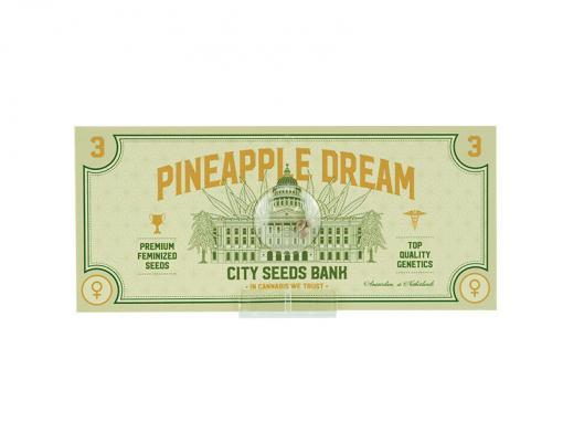 Pineapple Dream Cannabis Seeds