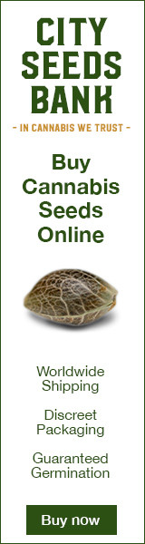 Buy Cannabis Seeds Online | City Seeds Bank