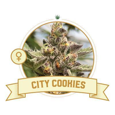 City Cookies