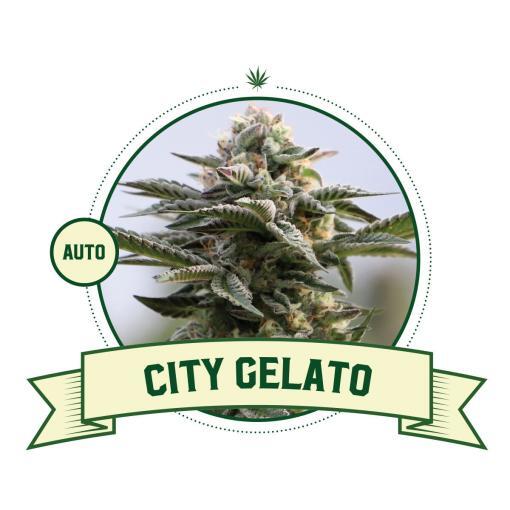 City Gelato Automatic