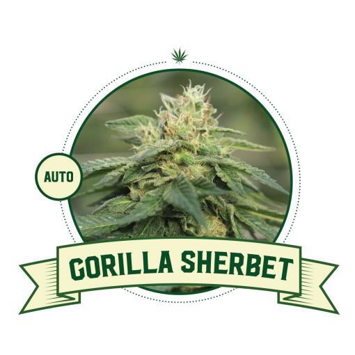 Gorilla Sherbet Automatic