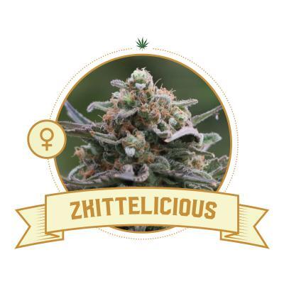 Zkittelicious