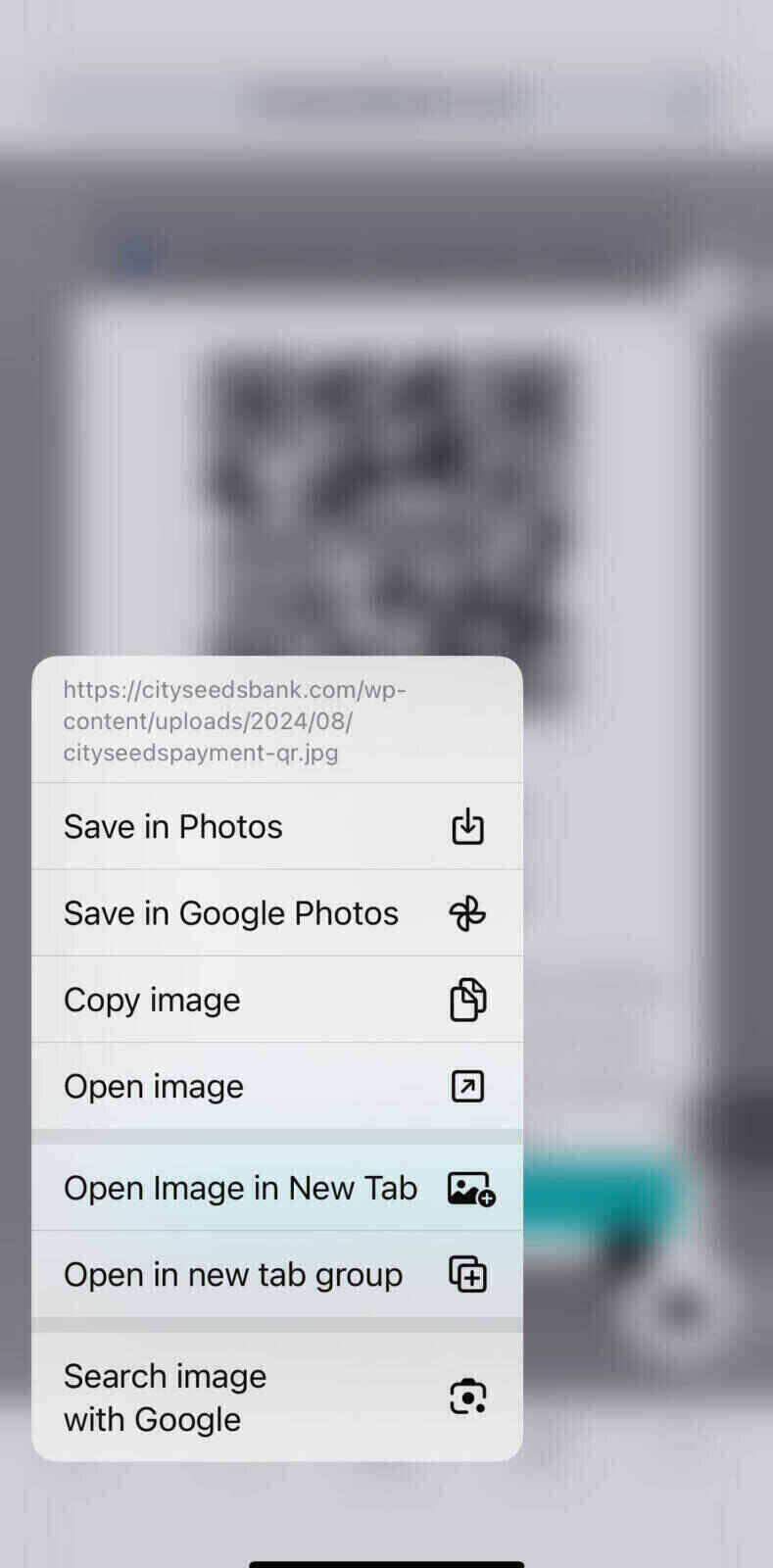 Open with Google Image Search Open with Google Image Search