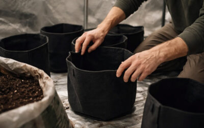 Cannabis Grow Preparation