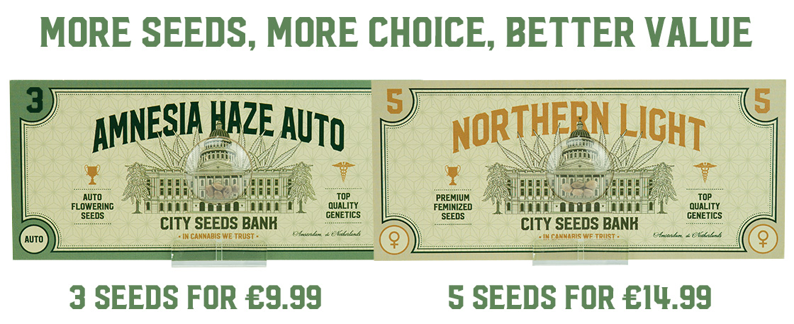 City Seeds Bank